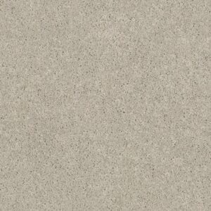 EXPLORER by Shaw Floors - Cascade