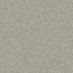 MOMENTUM I by Shaw Floors - Moondance