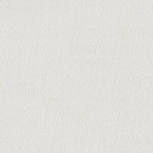 INSIGHTFUL WAY by Shaw Floors - White Hot