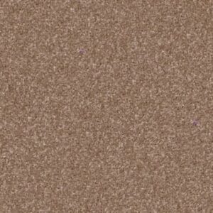 LOOK FORWARD by Shaw Floors - Acorn