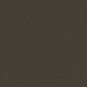 SANDY HOLLOW CLASSIC I 12' by Shaw Floors - Arrowhead