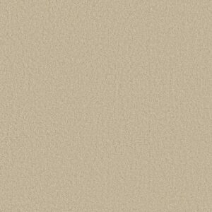 ENDURING COMFORT III by Shaw Floors - Pale Cream