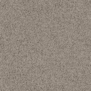 LONESTAR by Shaw Floors - Dovetail
