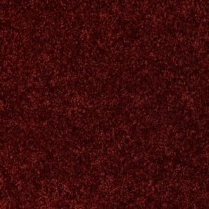 VITALIZE (S) 12' by Shaw Floors - Garnet Cluster
