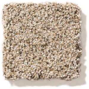 STRANDS OF NATURE III by Shaw Floors - Twine