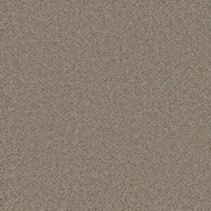 COSMOPOLITAN II by Dreamweaver - Stucco 905