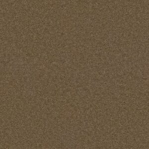 EXCEPTIONAL II by Dreamweaver - Sable 510