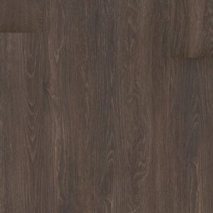 Symbiotic 5.0 by Shaw Floors - Heath