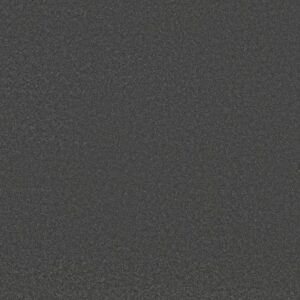 AWAKEN SPIRIT II 12' by Shaw Floors - Darkroom