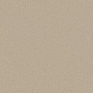 AWAKEN SPIRIT I by Shaw Floors - Windfresh