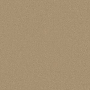 AWAKEN SPIRIT II 15' by Shaw Floors - Classic Buff