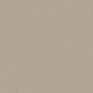 TRUSOLUTIONS I by Shaw Floors - Sugar Cookie