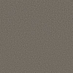 NEW ATTITUDE by Shaw Floors - Castle Wall