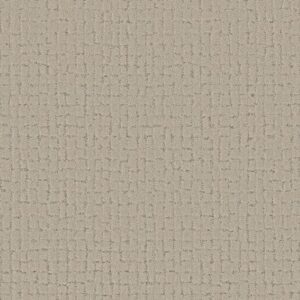 BLOCK PARTY by Shaw Floors - Warm Light