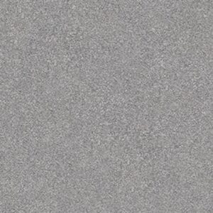 YOUR COMFORT II by Shaw Floors - Misty Rain