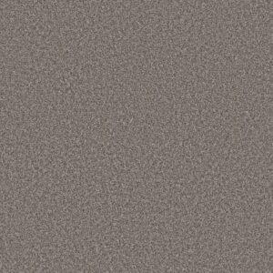 RENEWED ENERGY II by Shaw Floors - Cityscape