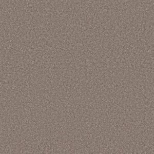 TRUSOLUTIONS I by Shaw Floors - Taupe Dream