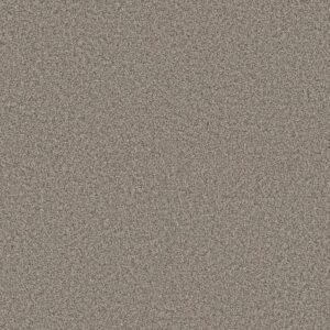 RENEWED ENERGY I by Shaw Floors - Prairie Run