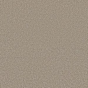 FEELIN' ALRIGHT by Shaw Floors - Flax