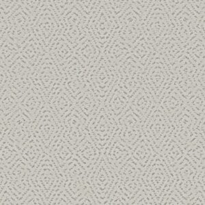 ELABORATE ARTIFACT by Shaw Floors - Frozen