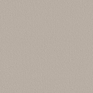 CANVAS COMFORT by Shaw Floors - Need A Hug
