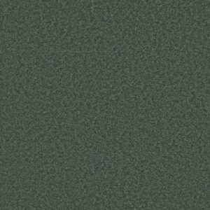 WAY TO GO I by Shaw Floors - Eco Green