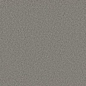 TWEED COMFORT I by Shaw Floors - All Dressed Up