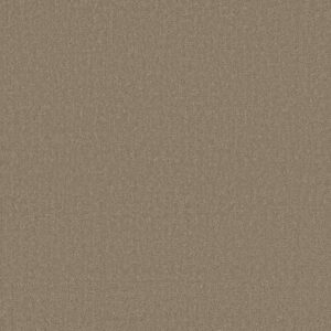 CANVAS COMFORT by Shaw Floors - Camping Trip