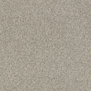 TONAL COMFORT BLUE by Shaw Floors - Back Patio
