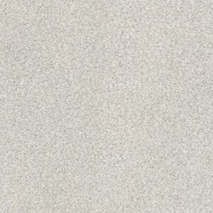 TONAL COMFORT BLUE by Shaw Floors - Morning Dew