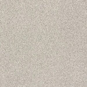 TONAL COMFORT BLUE by Shaw Floors - Chill In The Air