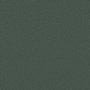 TONAL COMFORT BLUE by Shaw Floors - Bold Moves