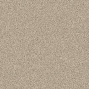 TWEED COMFORT II by Shaw Floors - Vacay