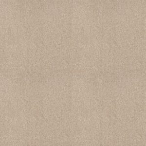 TONAL COMFORT I by Shaw Floors - Happy Place