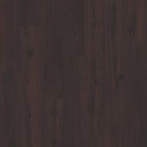 G Force 6 by Philadelphia Commercial - Barcelona