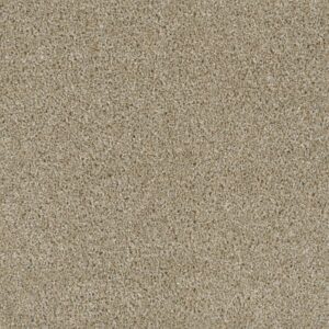 ACCLAIM by Dreamweaver - Outback 298