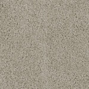 TRACKER by Dreamweaver - Flax Beige 535