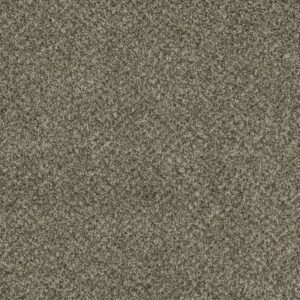 BRAZEN I by Dreamweaver - Olivewood 605