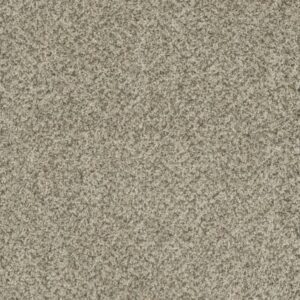 BRAZEN II by Dreamweaver - Acadia 596