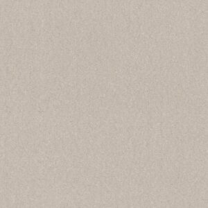 SOLIDIFY I 15' by Shaw Floors - Minimalist