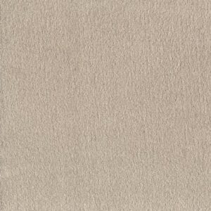 POSH LIFE by Shaw Floors - Warm Light