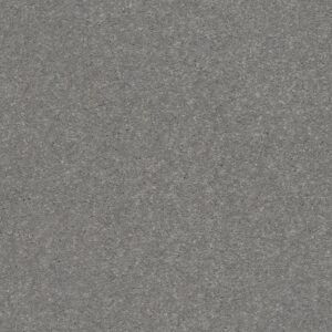 SOLIDIFY I 12' by Shaw Floors - Taupe Stone