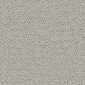 ELABORATE ARTIFACT by Shaw Floors - Gravity
