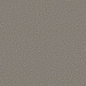 TRUSOLUTIONS III by Shaw Floors - Tree Bark