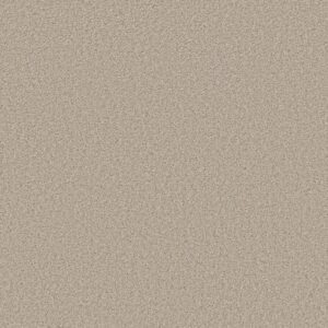 TRUSOLUTIONS II by Shaw Floors - Sugar Cookie