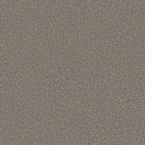 RENEWED ENERGY II by Shaw Floors - Granite