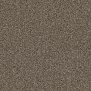 RENEWED ENERGY II by Shaw Floors - Fence Post