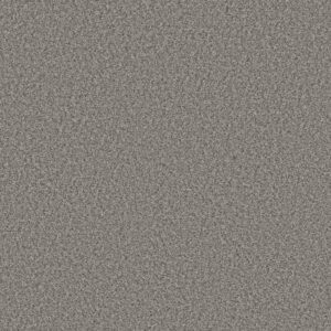 ALWAYS RIGHT II by Shaw Floors - Nantucket