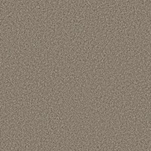 NEW ATTITUDE by Shaw Floors - Pecan Sandie