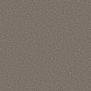 REMIXED CLASSIC by Shaw Floors - Nature Trail